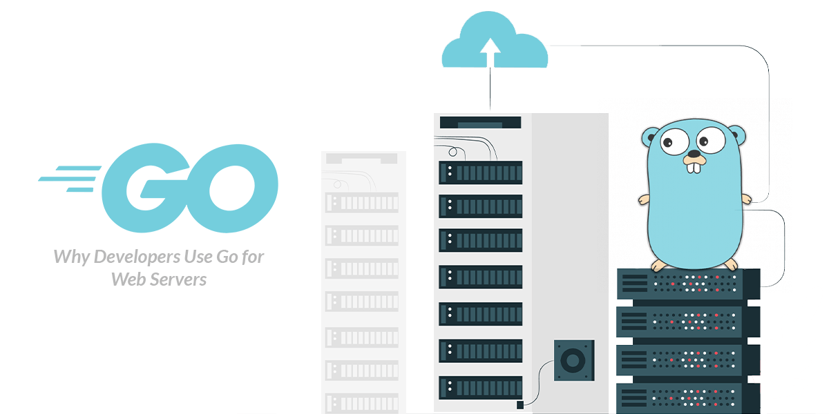 Why developers use Go Language for web application creation